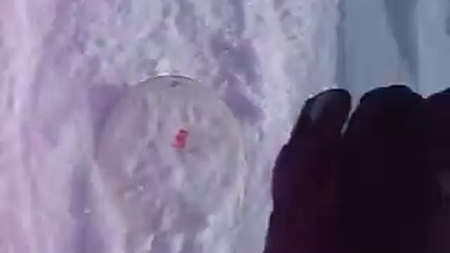За снегоходом на доске