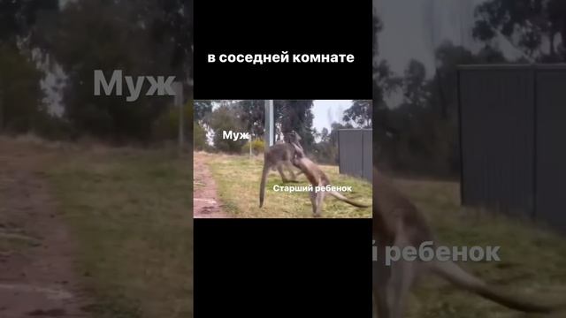 У вас также?))

#юмор #смешноевидео #мамавдекрете #жизньвдекрете #скетч