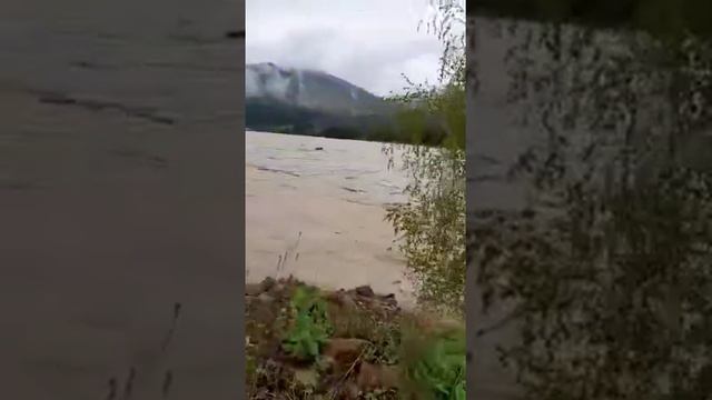 Обстановка в Абазе на данный момент