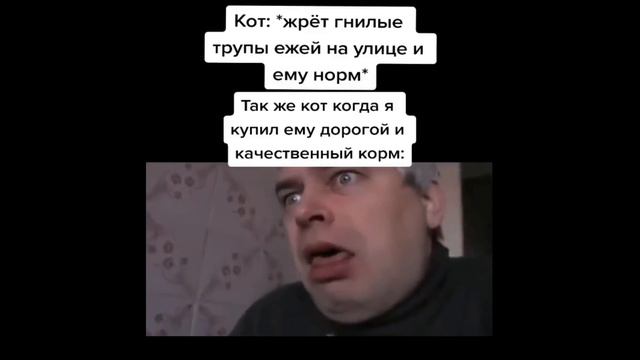 тикток Дуэйн Джонс обьясняет