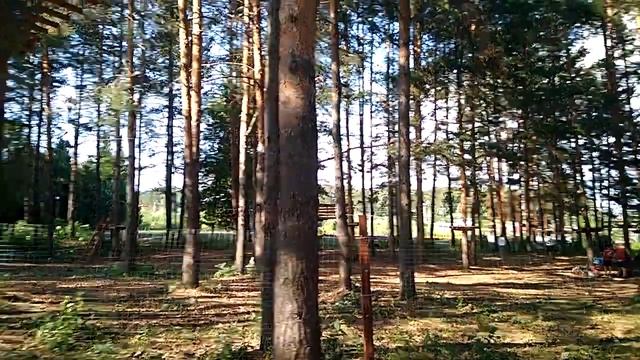 Гуляю в парке  Отдыхаю...