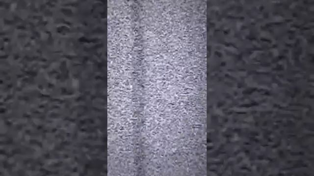 БАТЯ ПЛЮШКИН?