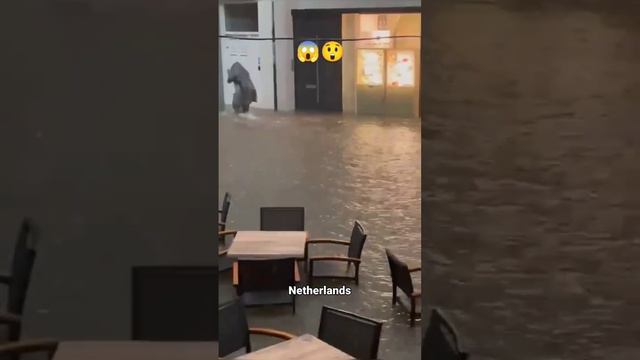 Дождь из рыбы прошёл над иранским городом Ясудж🌪️🐟🐝😳