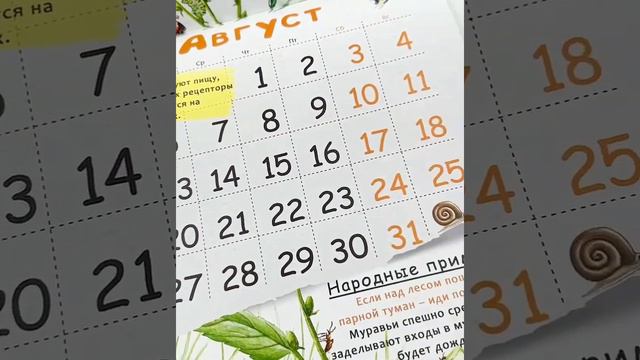 Календарь перекидной | Природа России 2024