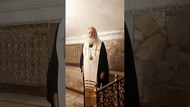8 октября 2022 г.