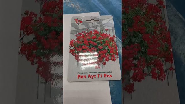 Семена пеларгонии Рич Аут Ред