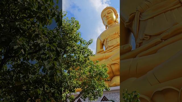 монахи в храме Хваенг Ват Пхра - Большого Будды в Бангкоке