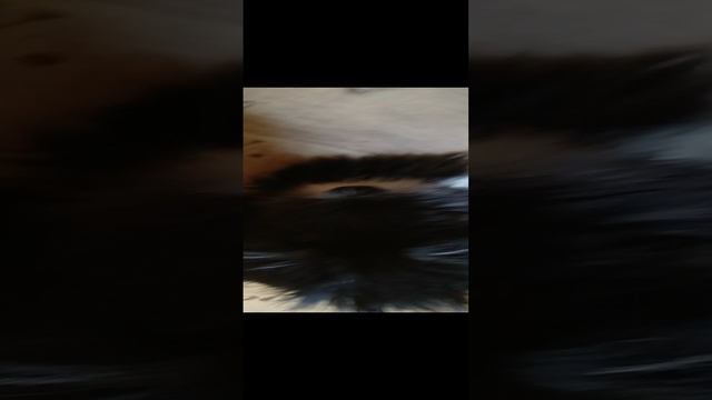 Николька_29