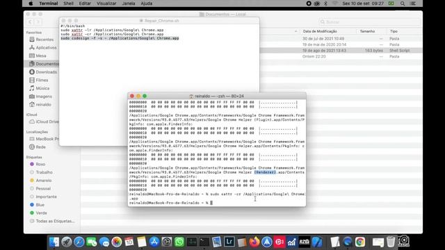 Erro ao abrir o Google Chrome no macOS Catalina (Patcher)