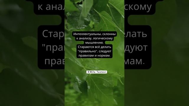 Знак зодиака ДЕВА ♍️?Все держится на на Деве