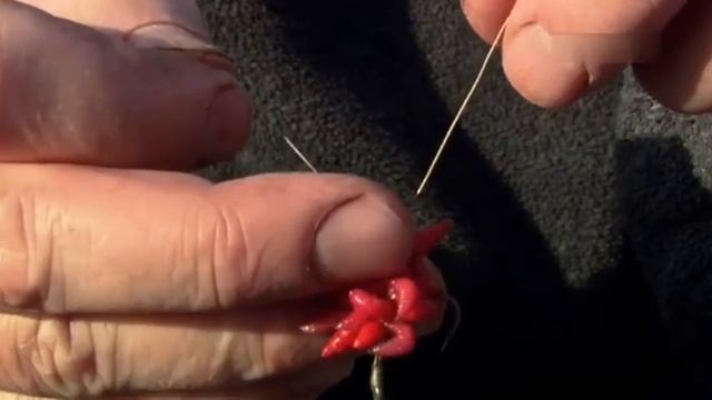 Ловля Карпа/Красный опарыш  вперемешку с искусственным/ Карпфишинг приманка/