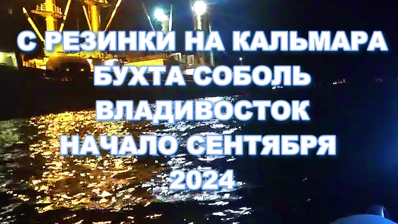 КАЛЬМАР В БУХТЕ СОБОЛЬ В СЕНТЯБРЕ С ПВХ