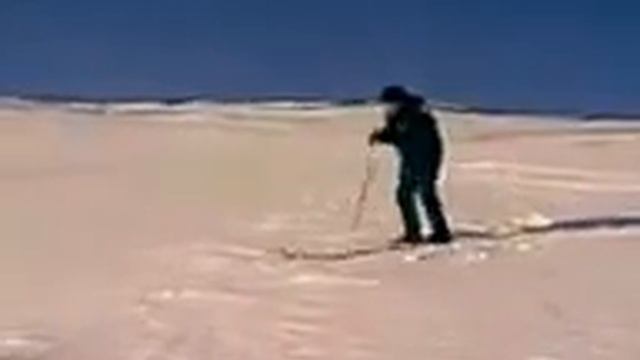 Кувырок, Лыжник,  ржака, смех, Pokemon GO