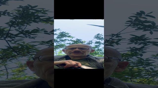 Вот