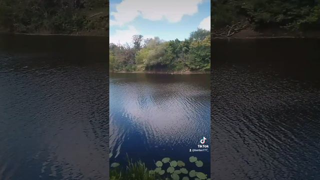 Река и Природа