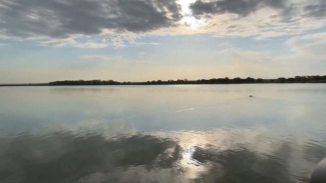 Кораблик для прикормки, новая модель 2020, с двумя бункерами. 500 метров!