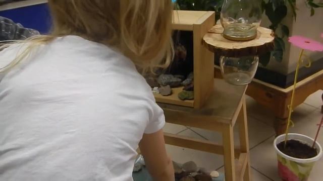 Ферма-Сад Бабочек