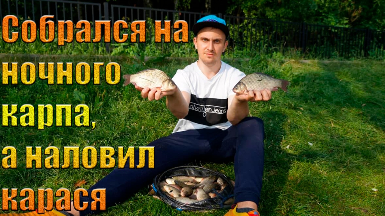Собрался на ночного карпа, а наловил карасей