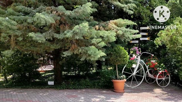 Алушта. Санаторий "Алушта"