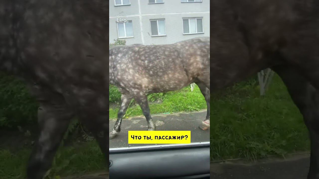 Обычное утро