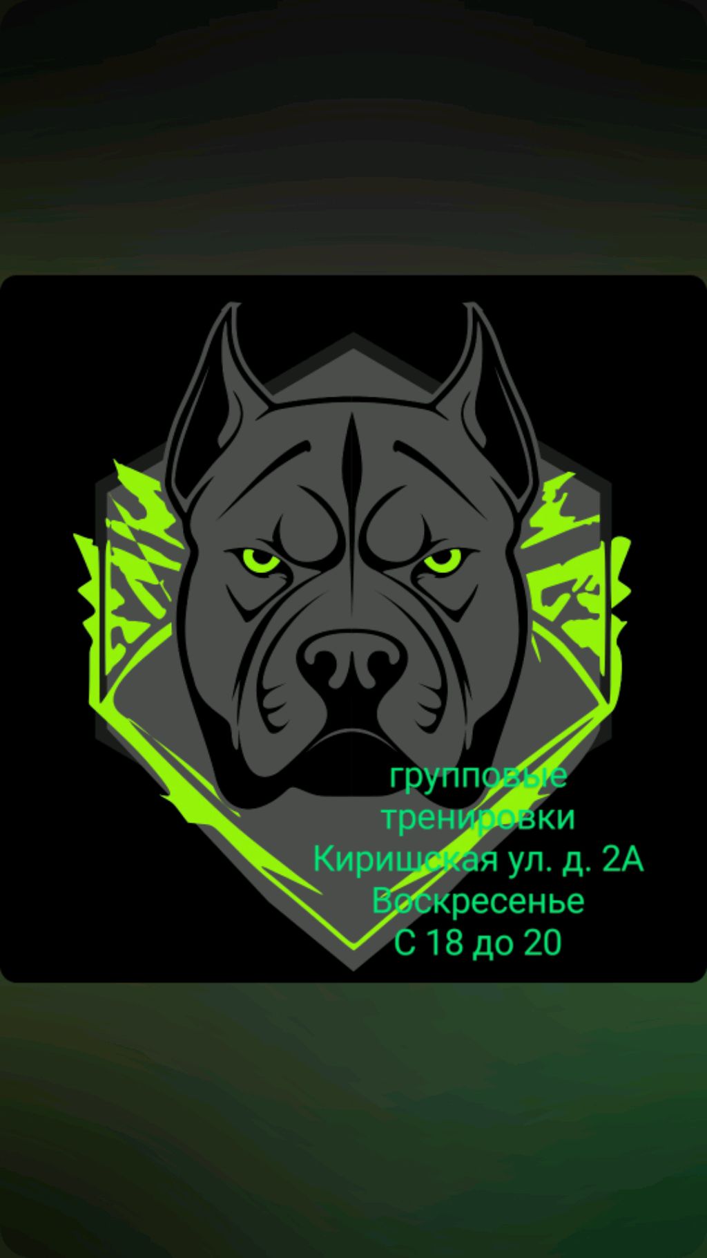 клуб"PITBULL"