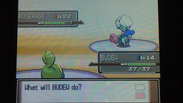 Pokemon Platinum Gym Battle #2 Gardenia