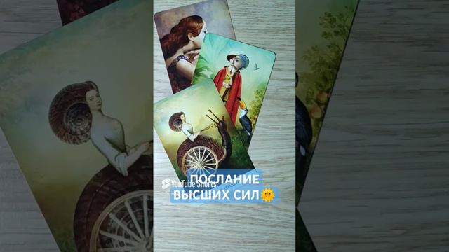 ПОСЛАНИЕ ВЫСШИХ СИЛ🌞 совет ВСЕЛЕННОЙ 💫 таро расклад