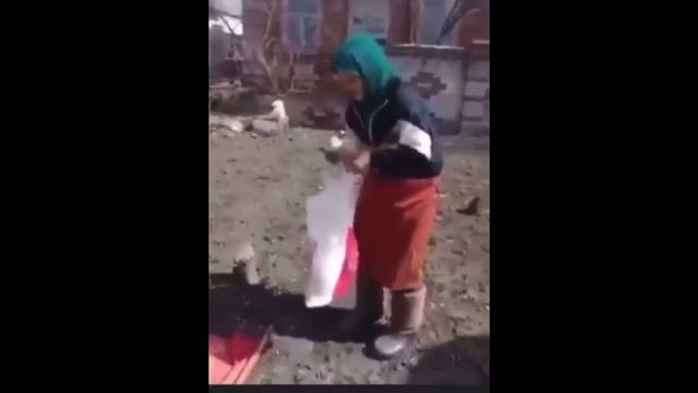 opersvodki