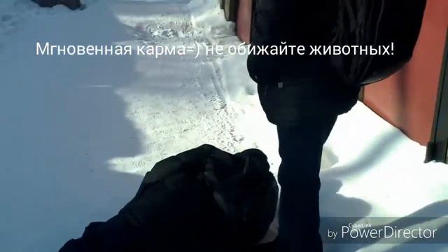 Когда обидел кошку.