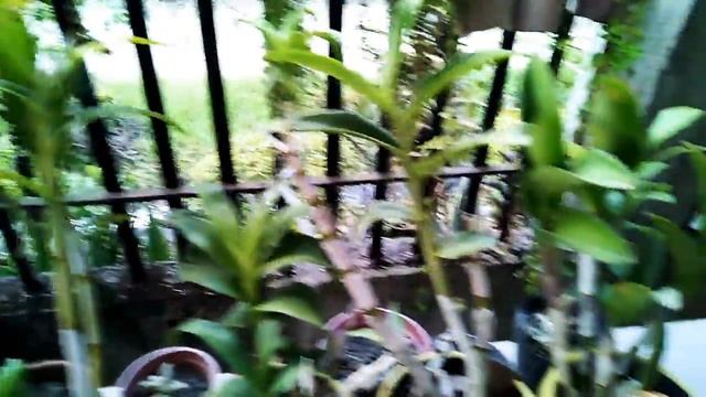 The Camera Of HUAWEI NOVA 2 LITE.