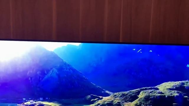 Cambridge Amp CXA80  Cambridge Stream Magic 6 Wharfedale Jade 3 speakers and OLED LG 65