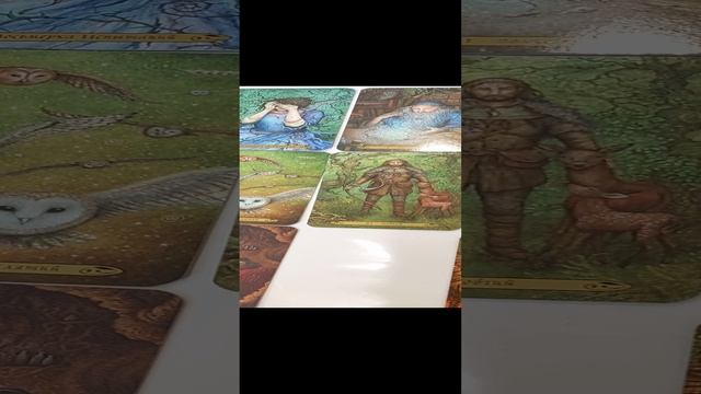 Часть 1.
Вокзал на двоих. Расклад таро. Отношения мужчины и женщины. Таро просмотр. #таро #отношения