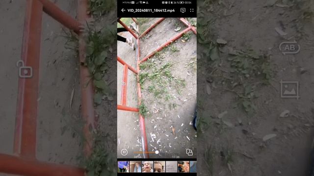 Страна гавна 1/5 трейлер