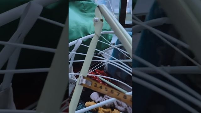 Коты юмор