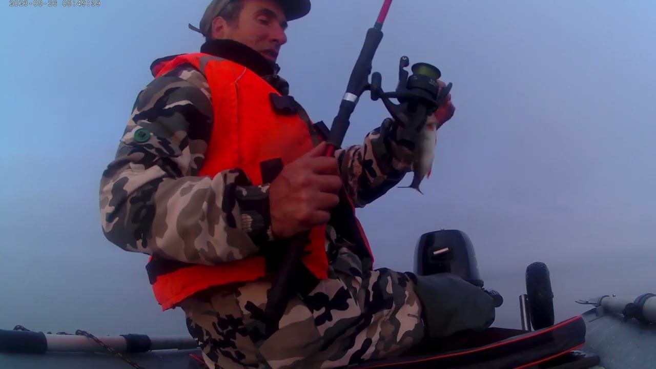 Ладога  опять рулит