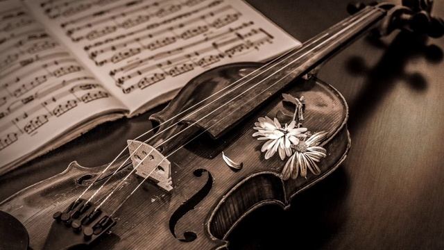 нежная скрипичная музыка для отдыха и чтения)