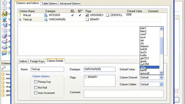 Huong Dan Su Dung MySQL Administrator
