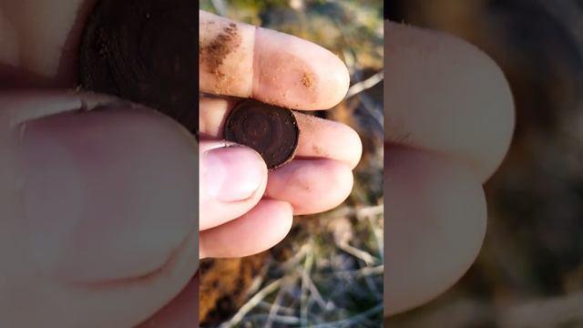 Очень удачное открытие копательного сезона 2024.