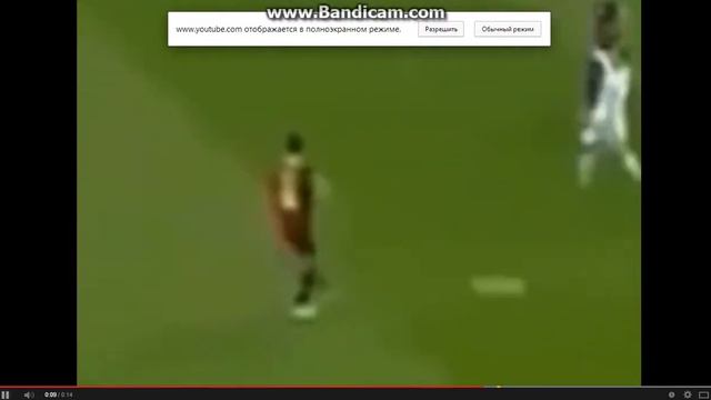 Барс играет собачку с Роналдо!!