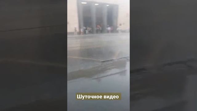 Видео для поднятия настроения