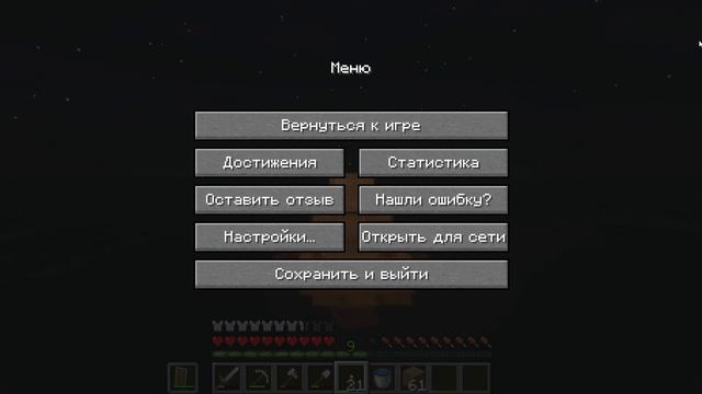 играю в minecraft java #3