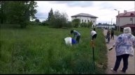 Каштаны 2в класс школа 7, 3 июня 2020г
