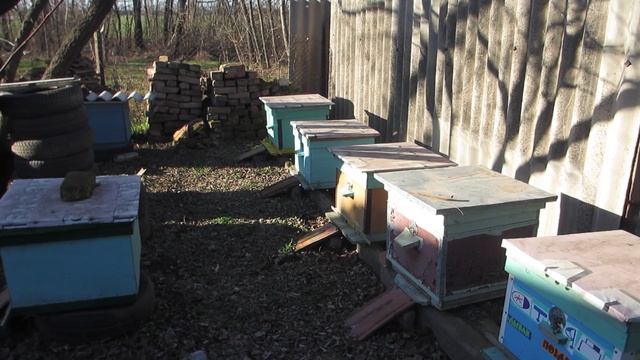 Пасека в январе