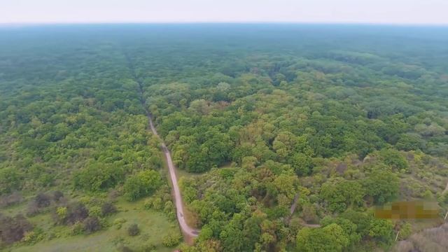Воспитанники Магарамкентской районной школы искусств