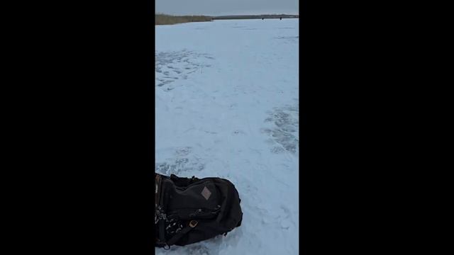 зимняя рыбалка на ротанов