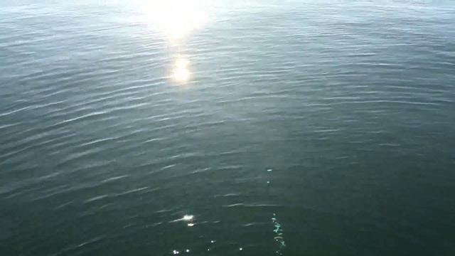 Чёрное море Пляж Альбатрос город Сочи 9 марта 2016 года