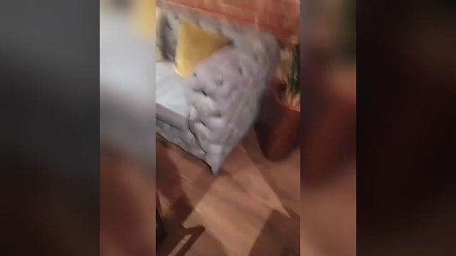 Химчистка мебели в ресторане Рыба мечты Чистая Москва