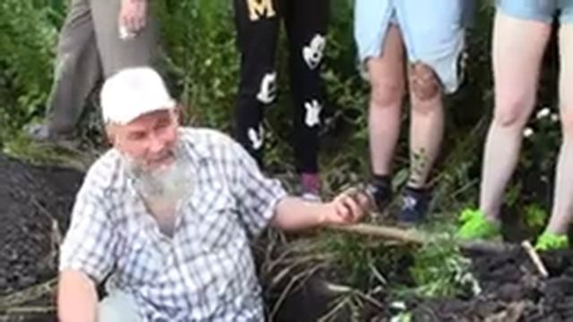 Влияние микрорельефа на формирование почвенного покрова