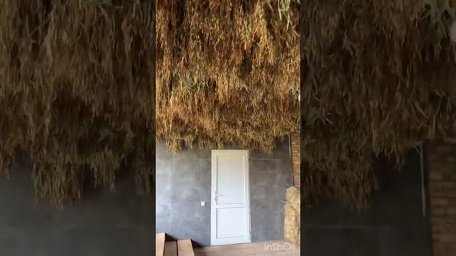 Супер банька. Абхазия.