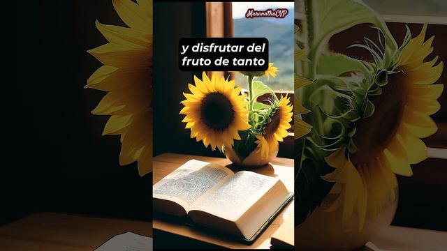 Eclesiastés 5:16-20 Esto es realmente lamentable que tal como vino al mundo #MaranathaCVP